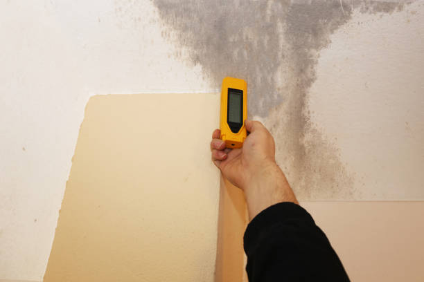 Best Biohazard Mold Removal  in Oakland Park, FL