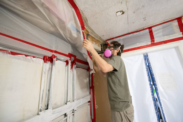 Best Industrial Mold Remediation  in Oakland Park, FL