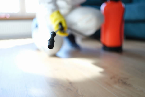 Best Mold Documentation for Insurance Claims  in Oakland Park, FL