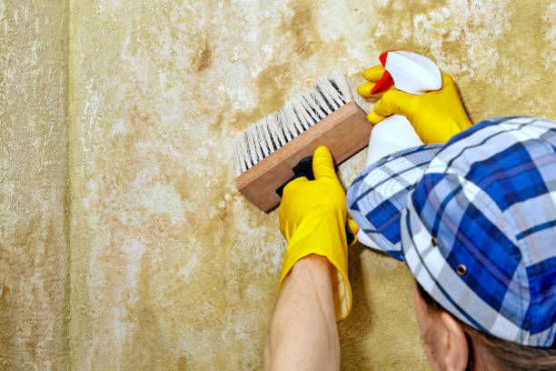 Best Mold Documentation for Insurance Claims  in Oakland Park, FL