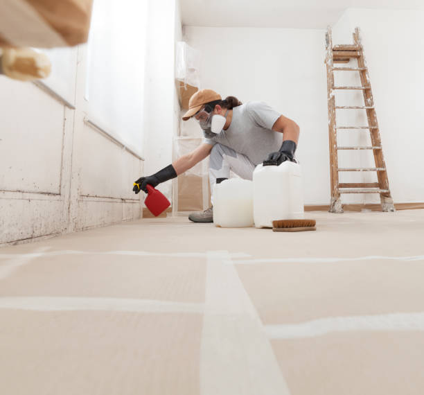 Best Residential Mold Inspection & Testing  in Oakland Park, FL