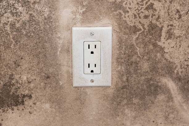 Best Mold Documentation for Insurance Claims  in Oakland Park, FL