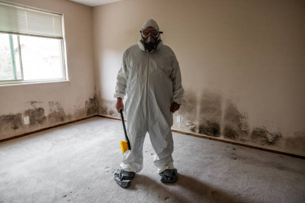Best Mold Odor Removal Services  in Oakland Park, FL